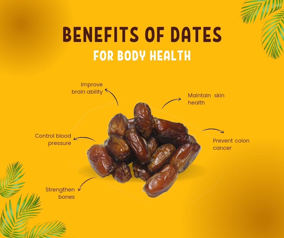 QUBA DATES - FINEST (KHAJUR) OF SAUDI ARABIA - Gross Weight 500G